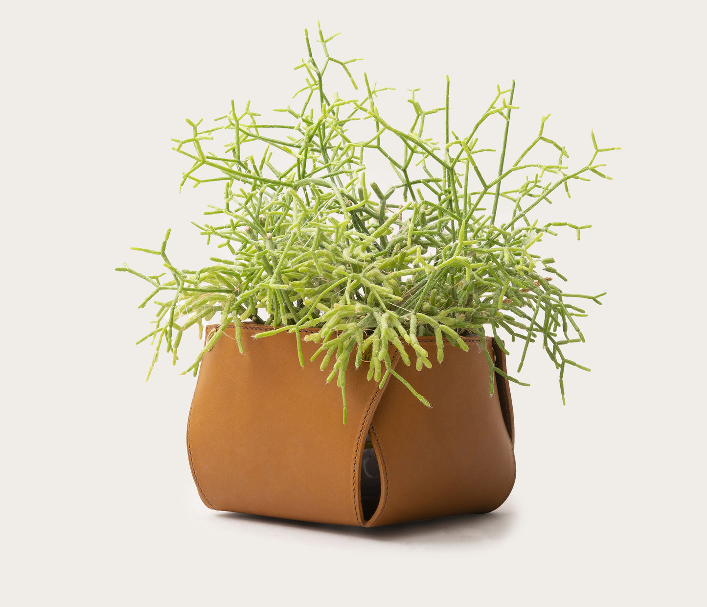 Cache pot en cuir