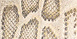 Couleur Cuir Banane