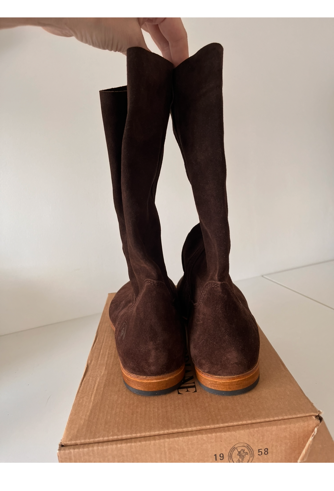 Brand new ankle boots, never worn